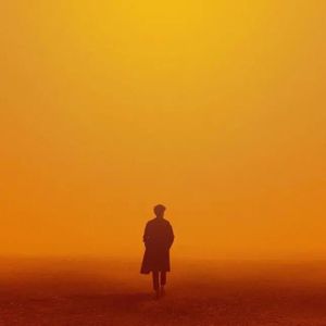 两根黑捧一前一后
