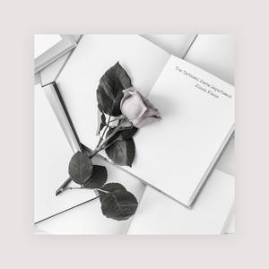 两根黑捧一前一后
